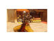 Игри Overwatch Collector's Edition | PS4