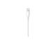 Кабели и Адаптери Apple Lightning към USB-C Cable (1 m)