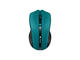 Мишки Canyon CNE-CMSW05G, в зелено