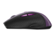 Мишки Canyon MW-01 CNS-CMSW01P