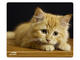 Падове Speedlink SILK, Cat