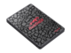 SSD 1TB Apacer AS350 Panther