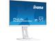 Монитори IIYAMA XUB2492HSU-W1