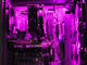 G:RIGS G:RIGS > Pavel Kolev & Icaka - Igrachi NG (AMD)