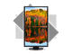 Монитори NEC EA243WM