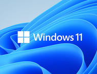 Операционни с-ми Microsoft Windows Home 11 OEM English 64