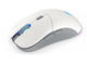 Мишки Endorfy GEM Plus Wireless Onyx White
