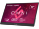 Монитори ViewSonic VX1755