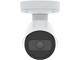 IP камери AXIS P1455-LE 2MP IR Bullet