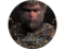 Игри NVIDIA® GeForce RTX™ -  Black Myth: Wukong Bundle