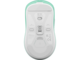 Мишки Fury Tanto T4 Wireless Mint, със софтуер