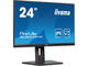 Монитори IIYAMA ProLite XUB2491H-B1