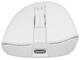 Мишки Genesis Zircon 880 Pro 8K, White
