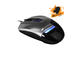 Мишки Canyon  CNS-SGM4G