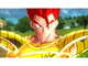 Игри Dragon Ball: Xenoverse | PS4