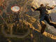 Игри Just Cause 3 Collector's Edition | PS4
