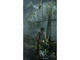 Игри Tomb Raider 2013 | PC