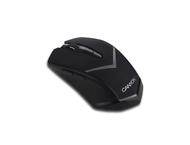 Мишки Canyon CNE-CMSW3