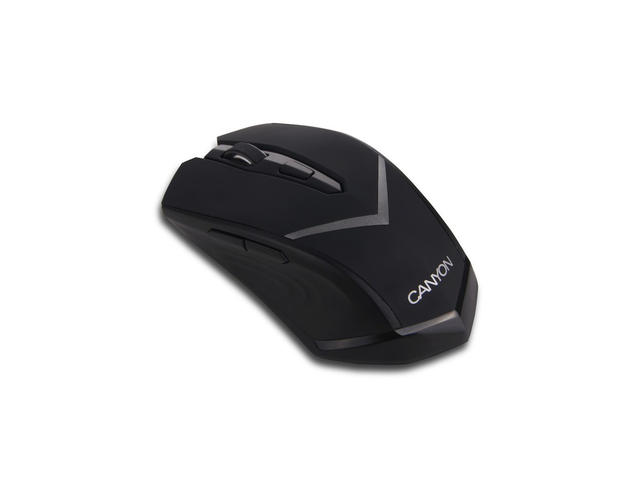 Мишки Canyon CNE-CMSW3